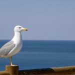 Εκτύπωση σε ΜDF ξύλο 12Χ18cm - πάχος 7mm